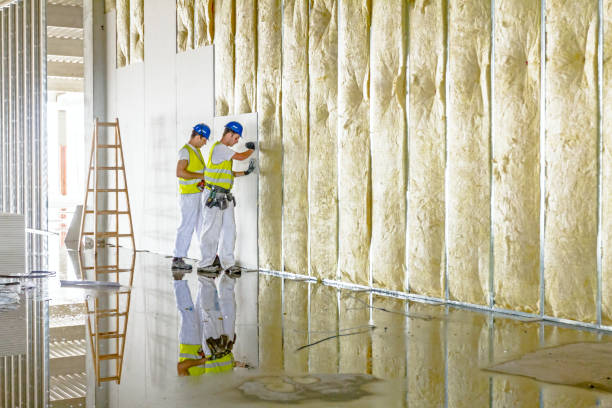 Best Commercial Insulation in Chatmoss, VA